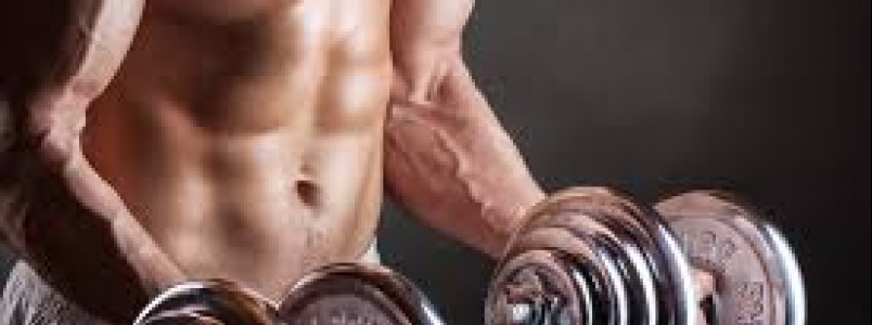 Musculação ou “esteira” para perder mais gordura?