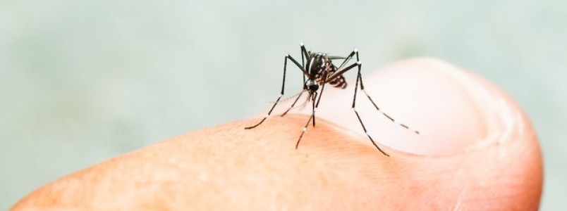 Paciente com malria no Rio de Janeiro sai do isolamento e permanece estvel