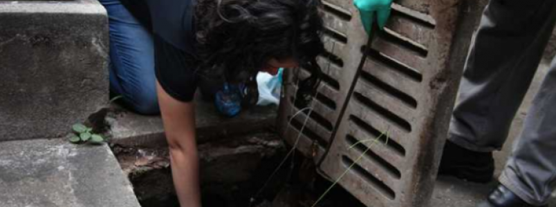 Larvicida criado na UFMG combate o mosquito da dengue mesmo em águas sujas