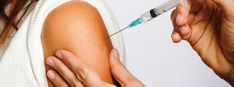 Teste da vacina contra dengue envolverá 17 mil voluntários