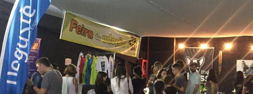 Feira de Adoção em Campo dos Goytacazes, RJ, foi um sucesso