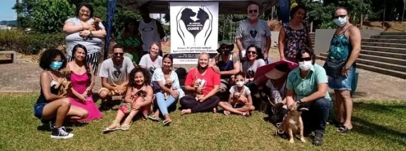 Apaixonados por Animais, conheça essa galera