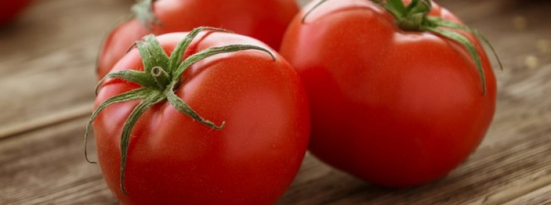 Alimentos para perder barriga: tomate é a aposta da vez