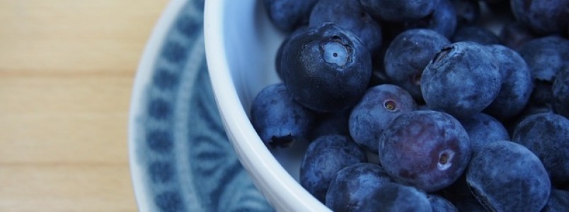 Frutas roxas podem prevenir doenças como Alzheimer e câncer