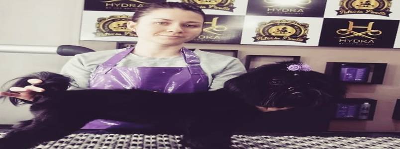 A Groomer Natali se especializa em "Tosa Bebê". 