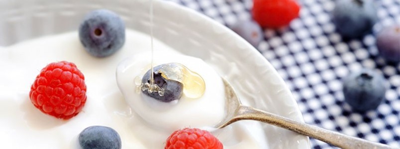OS PROBIÓTICOS ATUAM NO SEU METABOLISMO