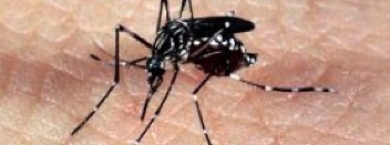 Casos de microcefalia chegam a 4.180 no Brasil; vacina só em três anos