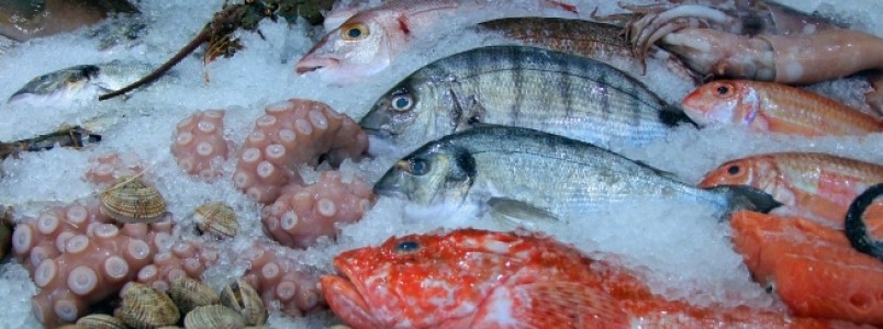 7 cuidados na compra de peixes para a Semana Santa