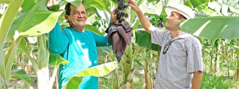 Escolas estaduais mineiras serão abastecidas com alimentos da agricultura familiar