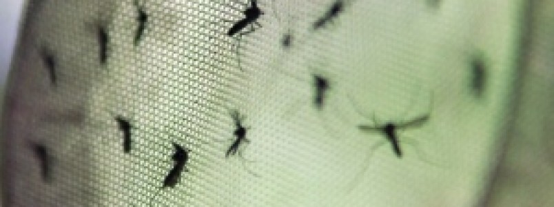 Minas contabiliza 17.706 casos prováveis de dengue só este ano