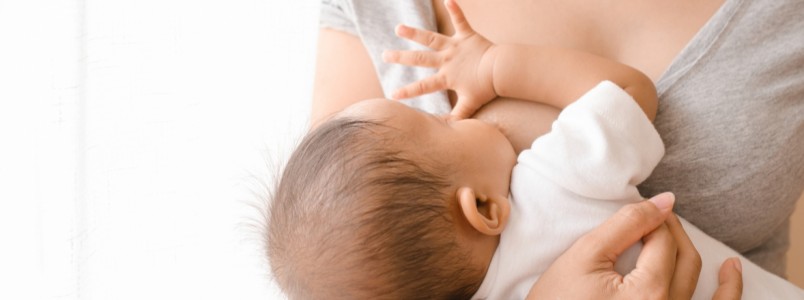 Aleitamento materno promove crescimento cerebral de prematuros
