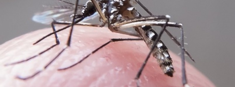 Planos de saúde terão que cobrir teste rápido para dengue
